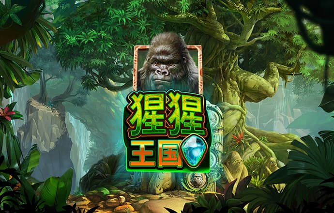 老狼信息网